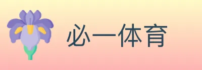 必一体育 Logo